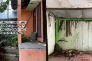 Rumah kosong penuh tanaman liar dimakeover jadi hunian minimalis, 13 transformasinya bikin pangling