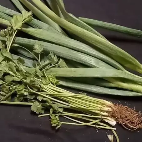Cara menyimpan daun bawang dan seledri agar awet berhari-hari tanpa kulkas