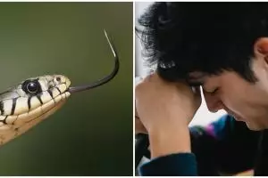 15 Arti mimpi di gigit ular di kaki, benarkah isyarat hubunganmu terhambat?