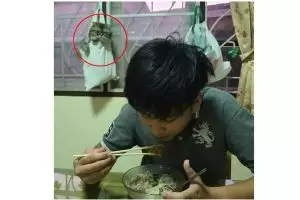 Kocak tapi nyeleneh, 11 potret absurd orang dan kucing ini bikin tepuk jidat
