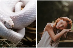 11 Arti mimpi ular putih, bisa jadi isyarat kebaikan dalam hidupmu