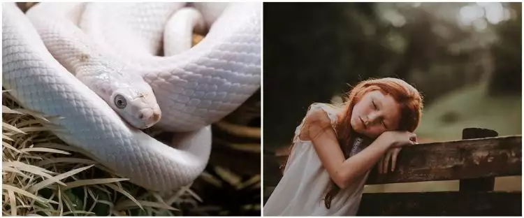11 Arti mimpi ular putih, bisa jadi isyarat kebaikan dalam hidupmu