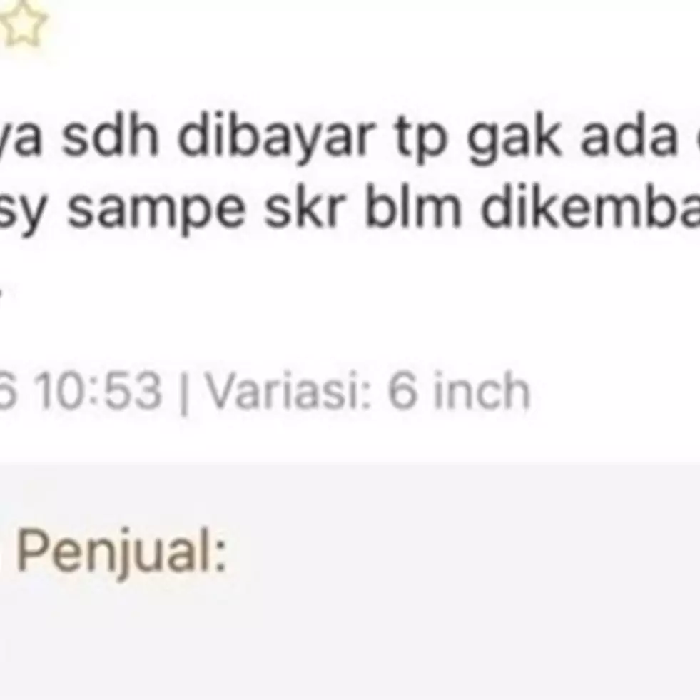 Bikin ngakak pembaca, 11 potret lucu review pembeli online shop endingnya nyebelin