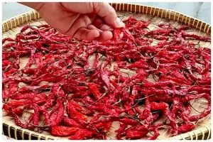 Cara membuat dan menyimpan cabai kering agar tetap merah dan awet hingga 6 bulan