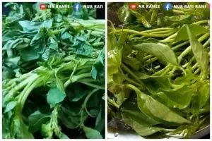 Cara jitu mengembalikan daun kemangi yang sudah layu segar lagi, cuma pakai dua bahan