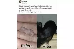 Ngawur banget, 11 momen lucu nge-prank teman ini ternyata banyak plot twist-nya