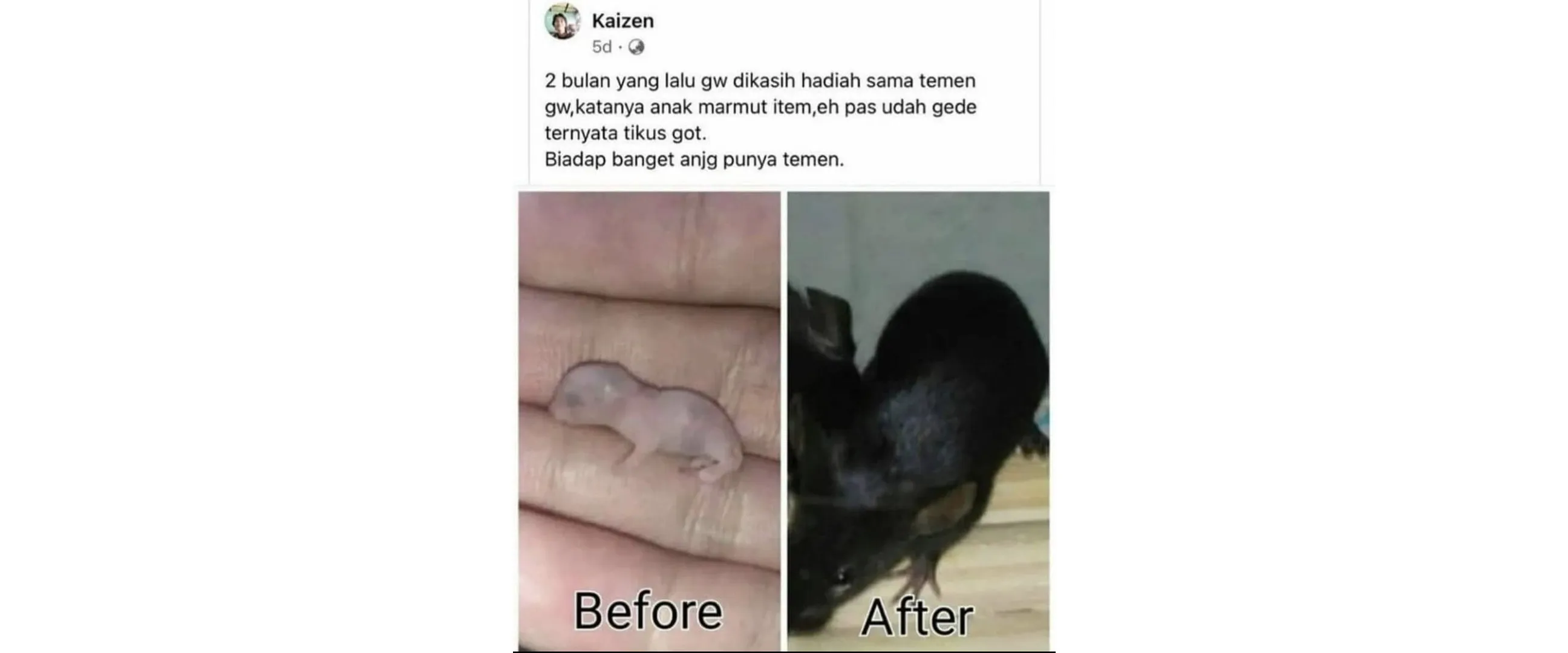 Ngawur banget, 11 momen lucu nge-prank teman ini ternyata banyak plot twist-nya