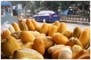 Trik jitu memilih timun suri yang matangnya pas, manis, dan cocok dijadikan minuman segar