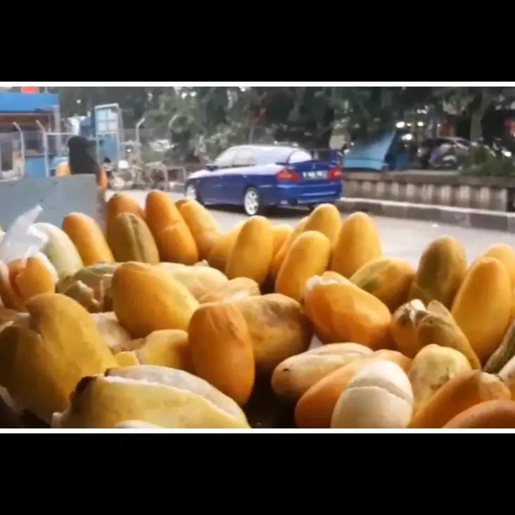 Trik jitu memilih timun suri yang matangnya pas, manis, dan cocok dijadikan minuman segar