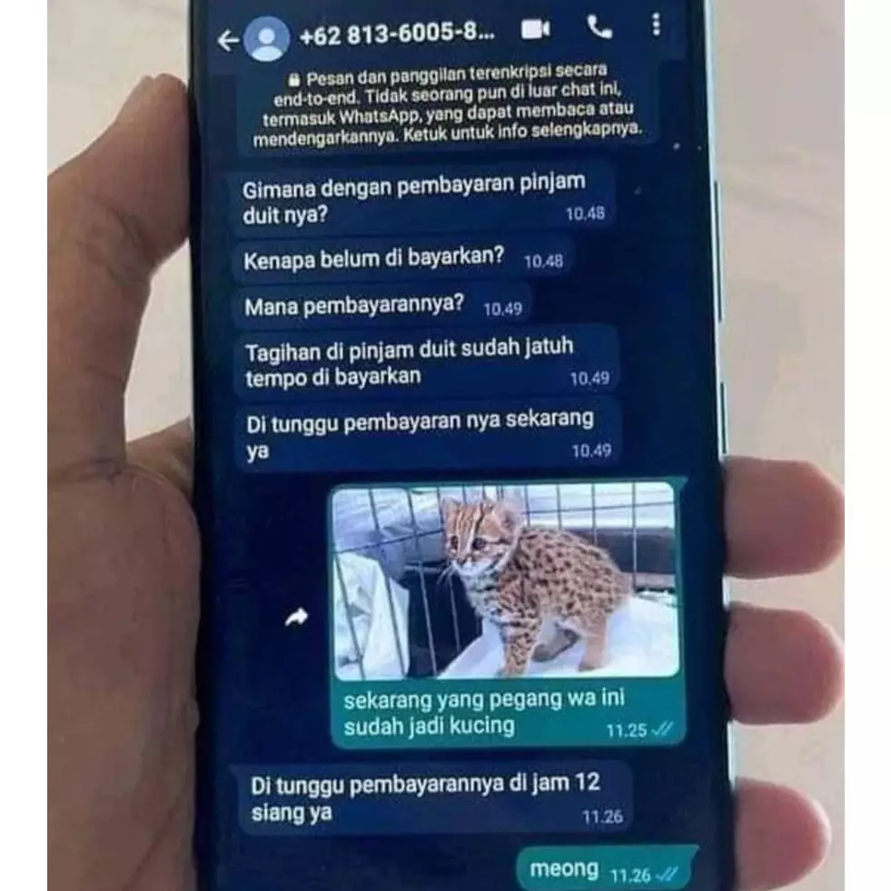 Nyusahin pol, 17 chat lucu orang menghindari bayar utang ini akalnya bukan main