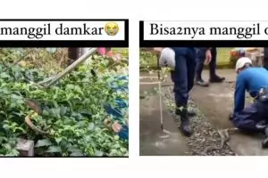 Momen tak terduga saat petugas damkar evakuasi ular berbisa, endingnya auto bikin kesel