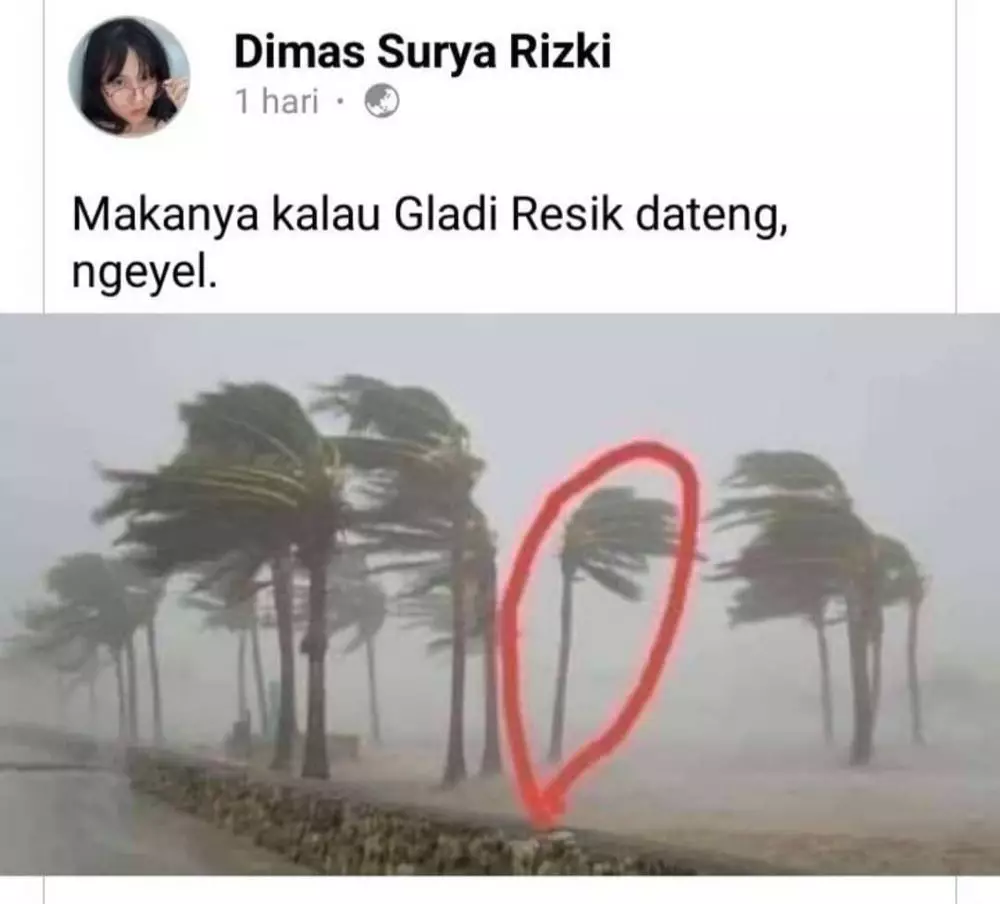 17 Momen lucu beda sendiri ini bikin auto jadi pusat perhatian © Instagram 17 Momen lucu beda sendiri ini bikin auto jadi pusat perhatian © Instagram