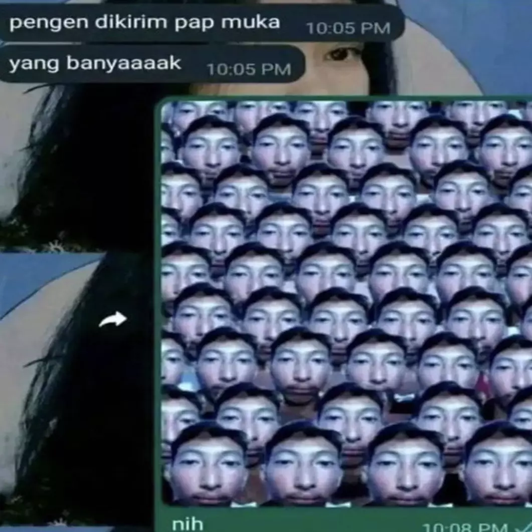 Funny Cat Memes Featuring German-speaking Cats | TikTok, image size:1061x1061