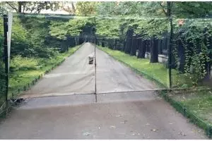 11 Penampakan benda mengecoh mata di tempat umum ini bikin yang lihat gagal fokus