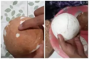 Tanpa pisau, ini trik jitu mengupas kulit ari buah kelapa dengan cepat