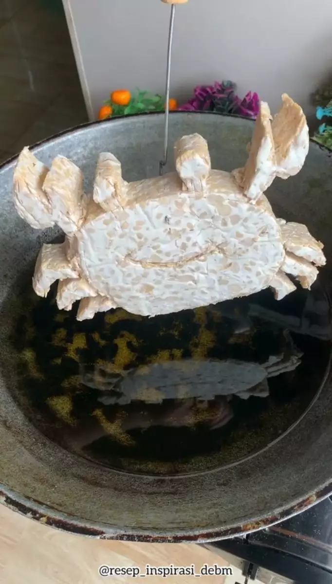 Bentuk tempe nggak biasa Berbagai sumber