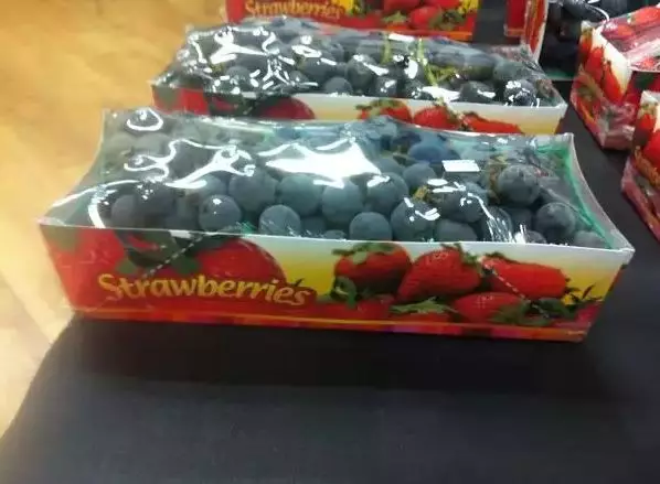 potret lucu produk salah tempat Berbagai sumber potret lucu produk salah tempat Berbagai sumber