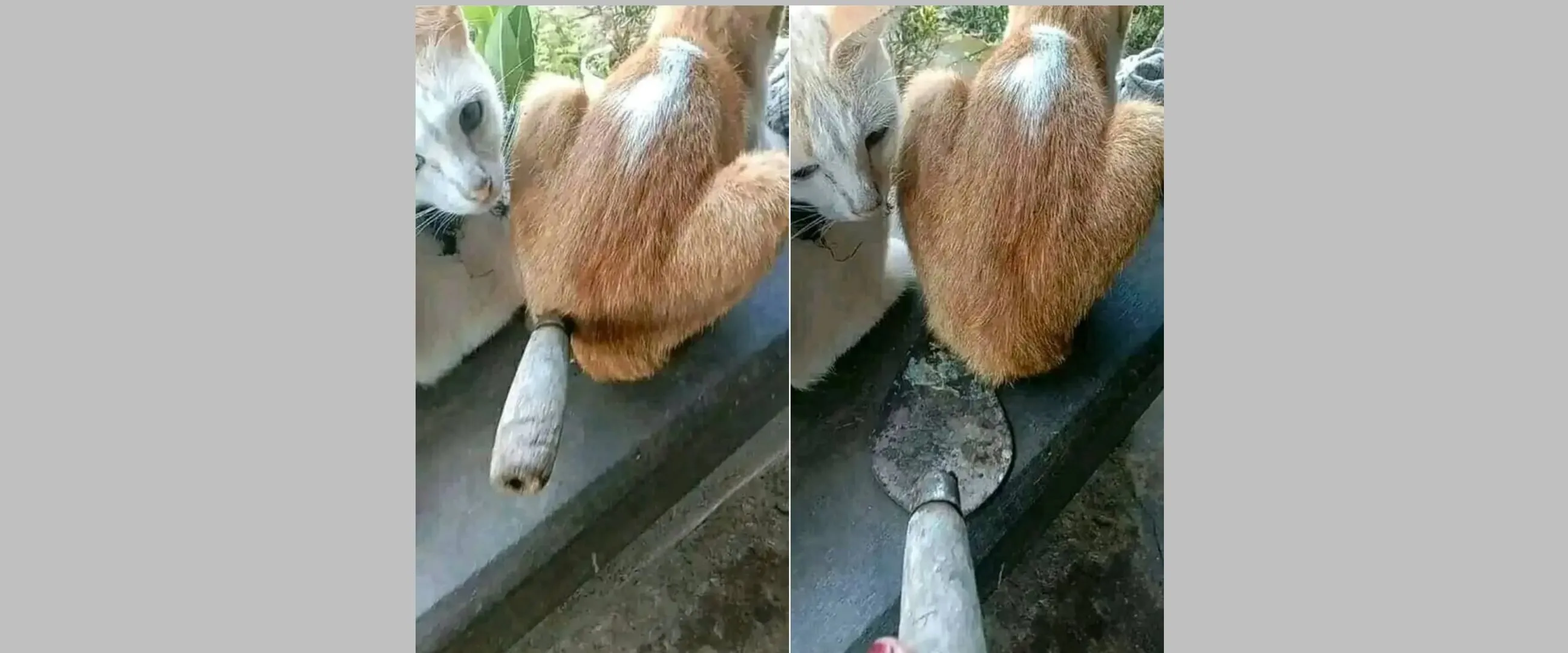 11 Momen lucu hampir tertipu ini endingnya bikin ketawa kesal, ada-ada saja