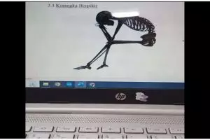 Nggak gitu juga konsepnya, 11 potret kocak di tugas mahasiswa ini bikin geleng kepala