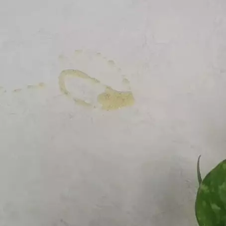 Bukan pakai tepung, begini trik bersihkan tumpahan minyak di lantai