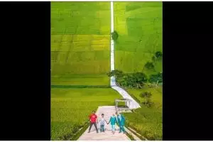 11 Penampakan nyeleneh di sawah ini bikin senyum tipis sambil garuk kepala