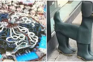 Awas jangan salah lihat, 13 benda mirip hewan ini bikin mata kedip dua kali 