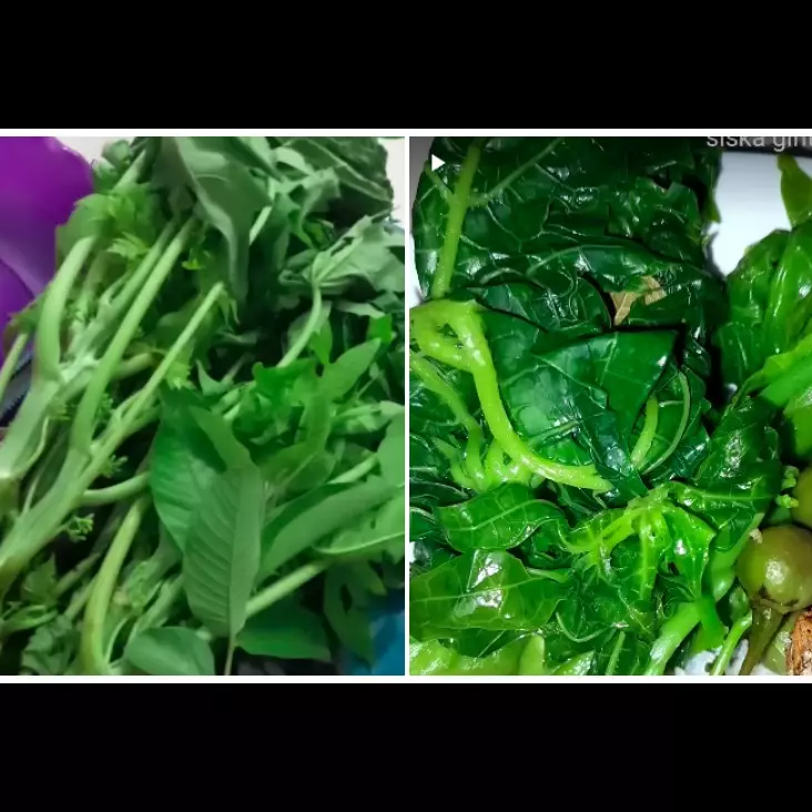 Pakai satu bahan dapur, ini trik merebus daun pepaya agar cepat empuk dan antipahit