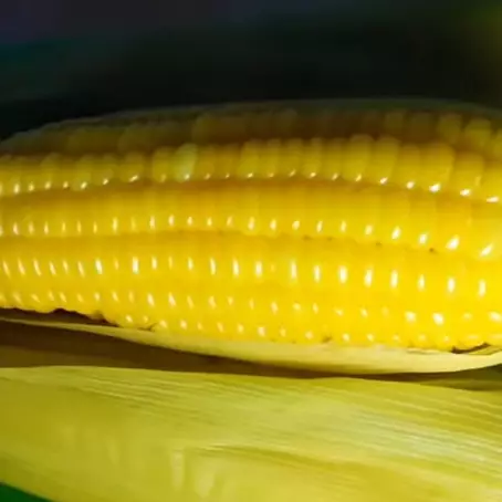 Cara cepat merebus jagung agar rasa manis alaminya tak hilang, hemat gas cuma 10 menit