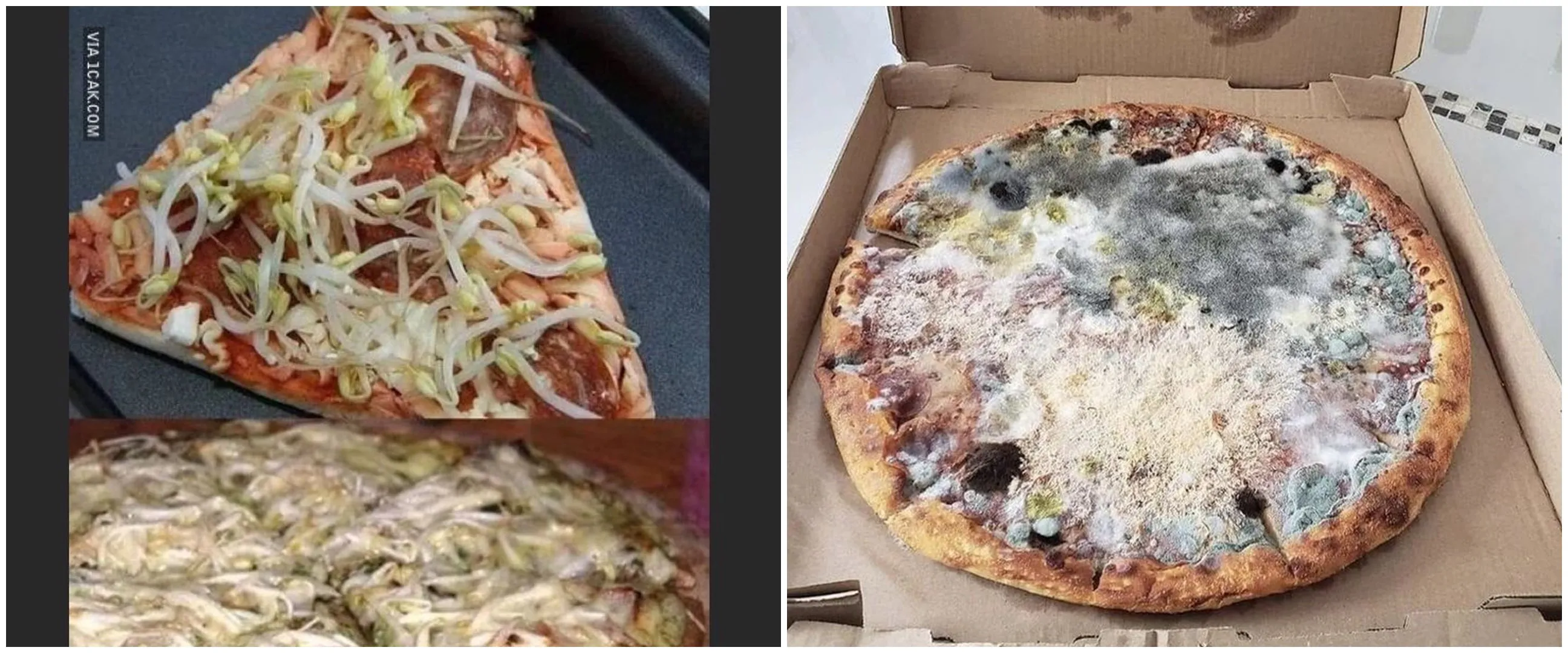 Nggak bikin ngiler, 11 potret kocak toping piza ini antimainstream abis