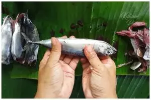 Tak perlu pakai pisau, begini cara mengeluarkan tulang ikan tongkol tanpa membelah dagingnya
