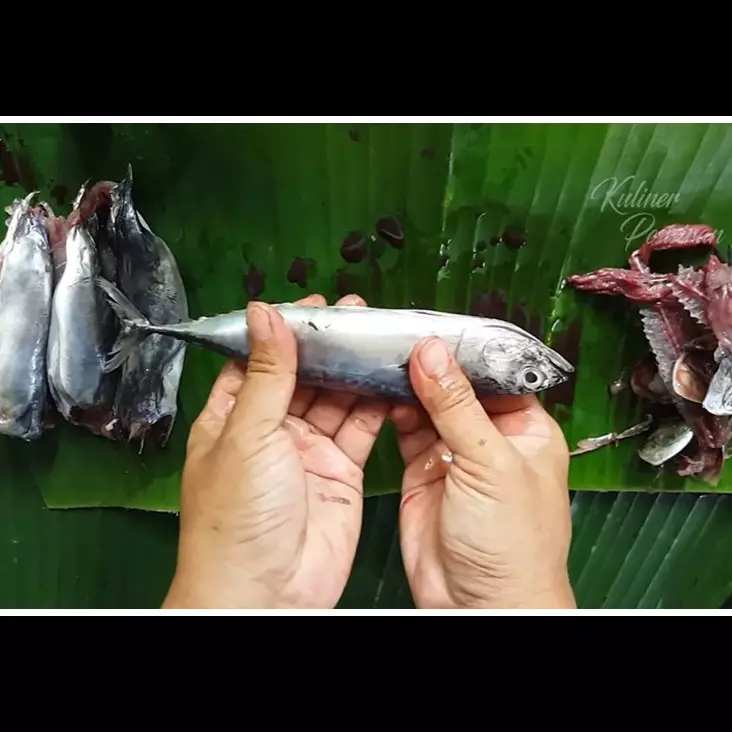Tak perlu pakai pisau, begini cara mengeluarkan tulang ikan tongkol tanpa membelah dagingnya