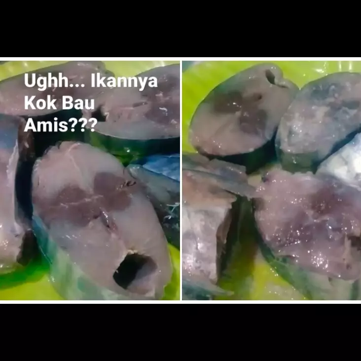 Tanpa direbus dan diungkep, ini cara jitu hilangkan bau amis ikan tongkol cuma pakai 2 bahan dapur