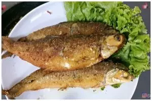Empuk sampai ke tulang, ini cara jitu presto ikan bandeng supaya tak hancur dan lengket satu sama lain