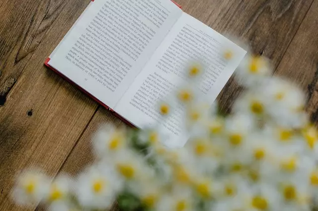 Contoh kata kerja relasional pengertian dan strukturnya © 2023 brilio.net Contoh kata kerja relasional pengertian dan strukturnya © 2023 brilio.net