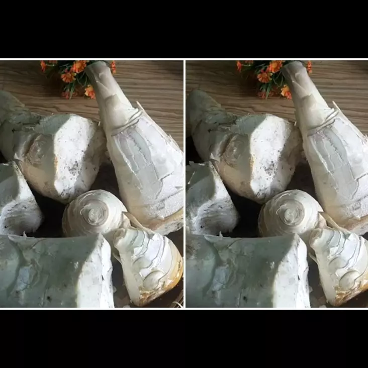 Bukan di kulkas, begini cara menyimpan rebung agar tahan berbulan-bulan