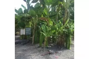 11 Potret lucu outfit Lebaran ini antimainstream, malah bikin susah memakainya