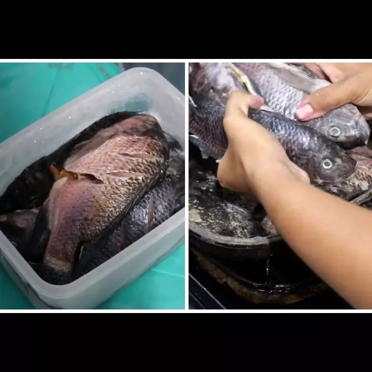 Cuma butuh 10 menit, ini cara cepat mencairkan ikan beku dari freezer