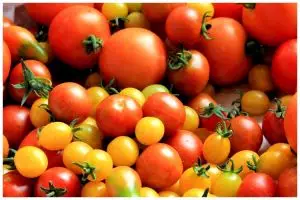 Tak perlu pakai tisu, begini cara menyimpan tomat agar awet dan bebas jamur sampai 8 bulan