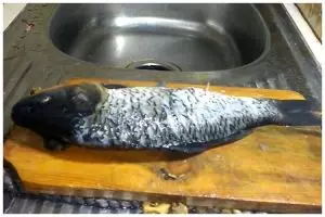 Tak perlu was-was lagi, ini cara sederhana menyiangi ikan mas agar isi perut bersih dan bebas duri