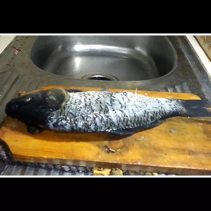 Tak perlu was-was lagi, ini cara sederhana menyiangi ikan mas agar isi perut bersih dan bebas duri