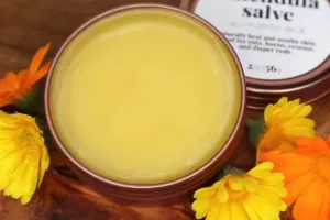 Bantu redakan luka dan iritasi kulit, ini cara buat salep kulit hanya dengan 1 jenis bunga