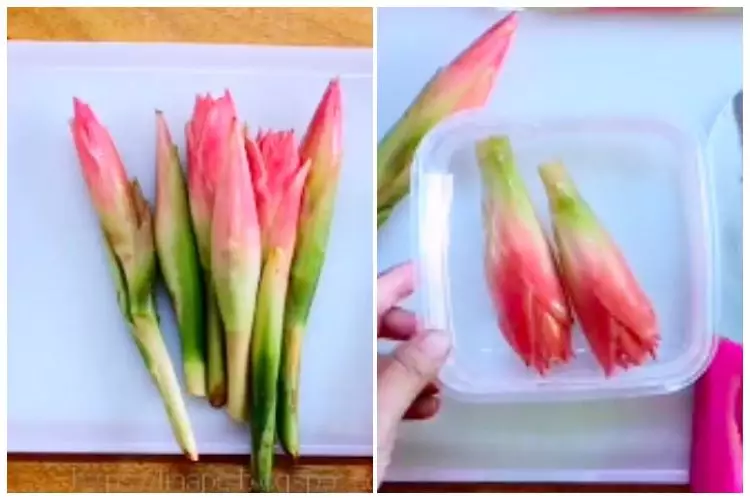 Pakai 1 bahan dapur, ini trik simpan bunga kecombrang agar tetap segar, tak menghitam, dan tahan lama