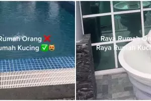Lebih mewah dari hunian manusia, 5 penampakan rumah kucing dengan dua lantai ini bikin iri