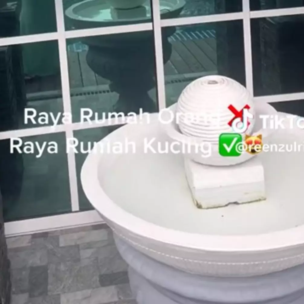 Lebih mewah dari hunian manusia, 5 penampakan rumah kucing dengan dua lantai ini bikin iri