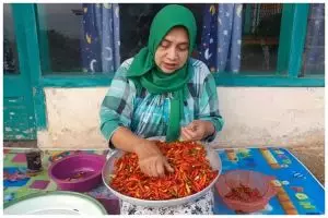 Trik menyimpan cabai supaya tak busuk dan berubah rasa, tahan hingga 1 tahun tanpa kulkas