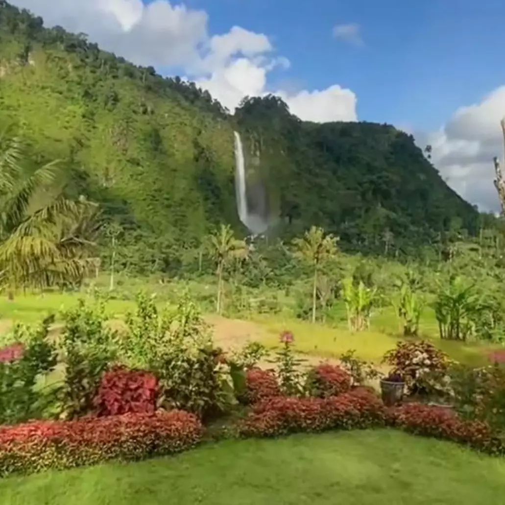 7 Potret miris rumah Abah Jajang yang pernah ditawar Rp 2,5 M usai viral, banyak tanaman yang hancur