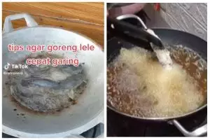 Cara jitu goreng lele agar cepat matang, garing, tetap lurus, dan minyak tidak meletup