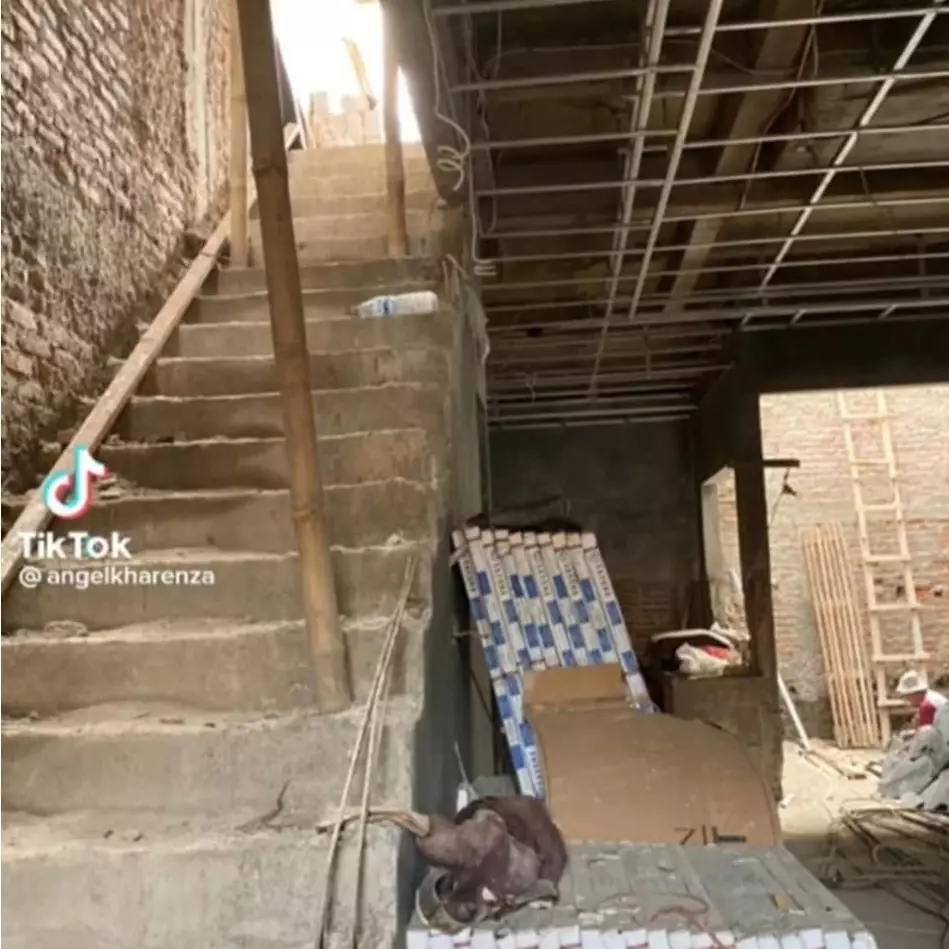 Hasil desain sendiri, bangunan rumah ini bikin melongo saking mewahnya