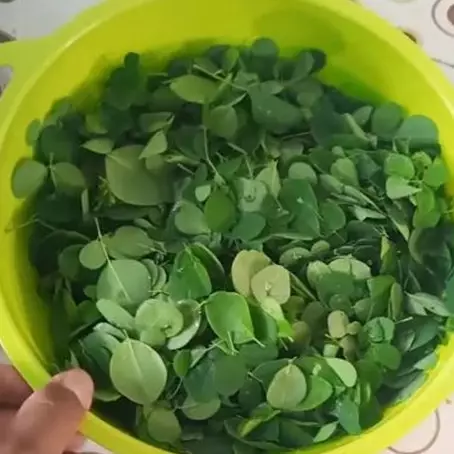 Pakai 3 bahan dapur, ini trik merebus daun kelor agar tidak pahit dan langu