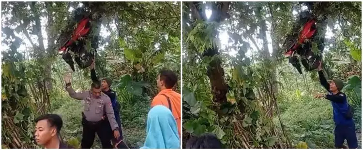 Viral momen pengendara motor nyangkut di pohon setinggi 3 meter, penyebabnya diduga karena rem blong